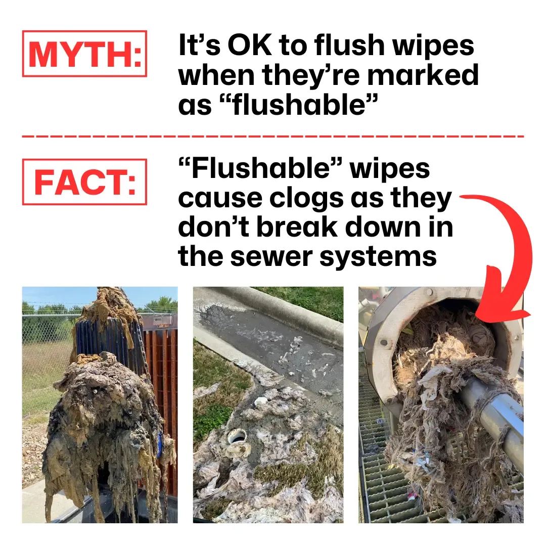 flushable-wipes-infographic